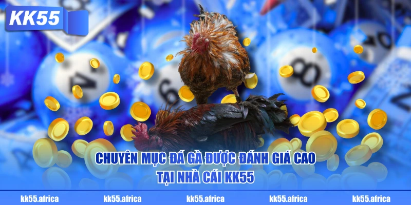 Chuyên mục đá gà được đánh giá cao tại nhà cái KK55